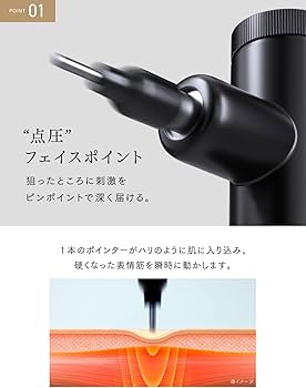 Amazon.co.jp: MYTREX マイトレックス REBIVE LIFT POINTER フェイス